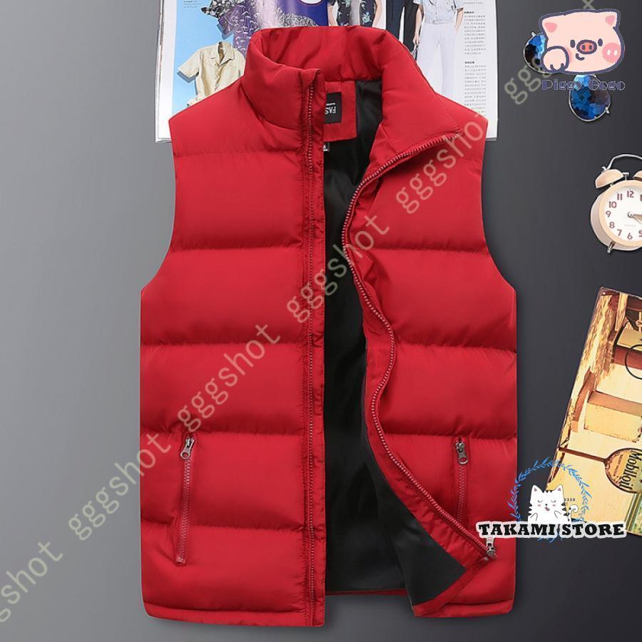 ダウンベスト 中綿ダウン 秋冬春 メンズ 男性用 立ち襟 厚手