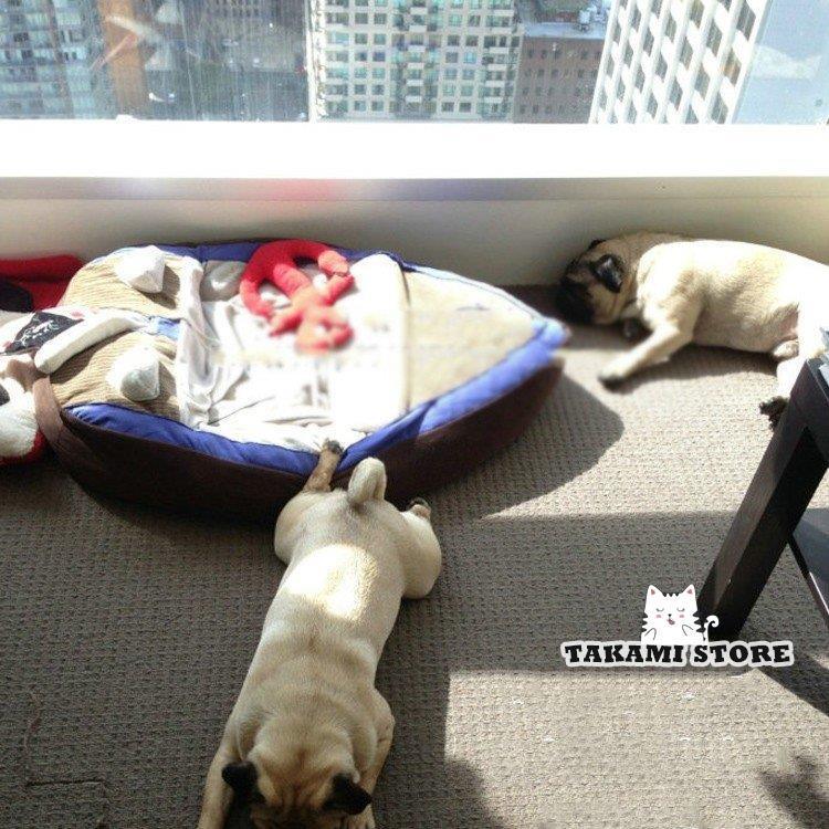 ペット ベッド 犬ベッド 船模様 格好いい 小型犬 中型犬 寝具