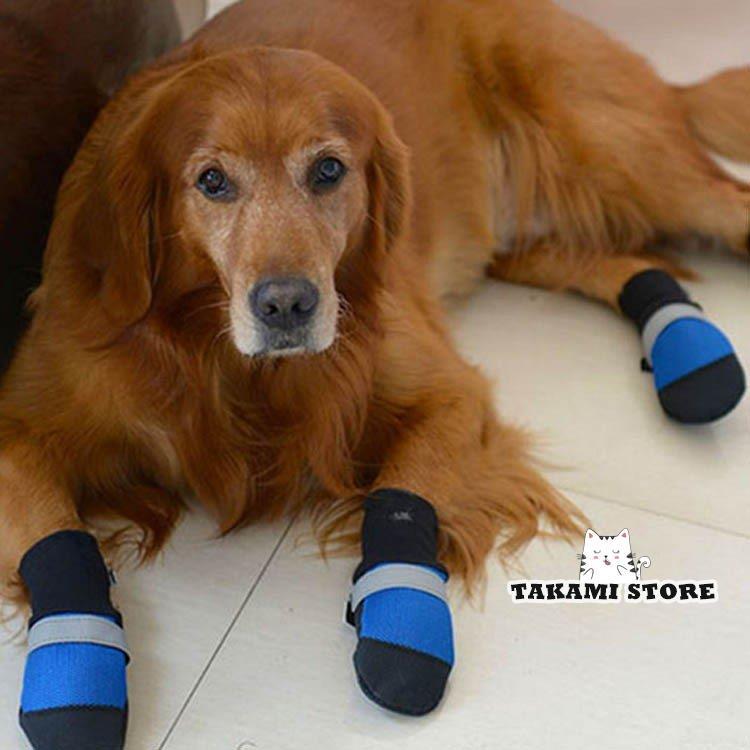 犬靴 犬 シューズ 犬の靴 4足 靴 犬用 ワンちゃん わんちゃん ドッグ