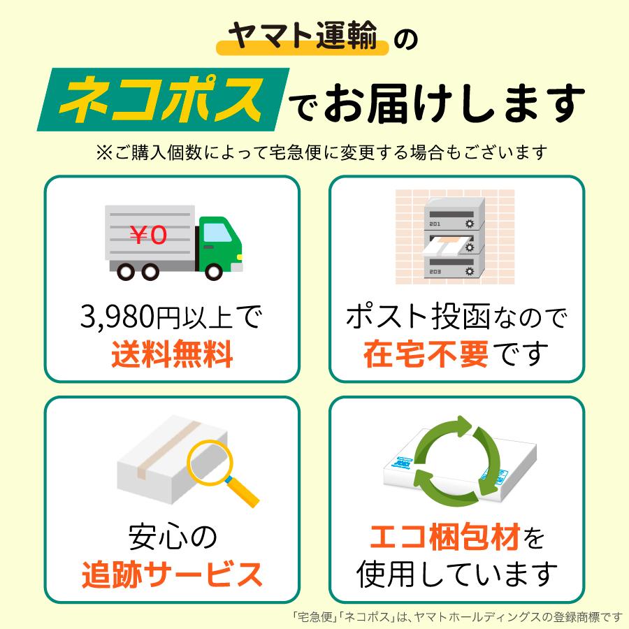 ノビルン S DHA EPA 子供 イライラ 落ち着き 受験 集中力  睡眠 子ども こども 勉強 学習 サプリ のびるん サプリメント GABA イチョウ葉 ビタミン 日本製 120粒｜takamitu｜20