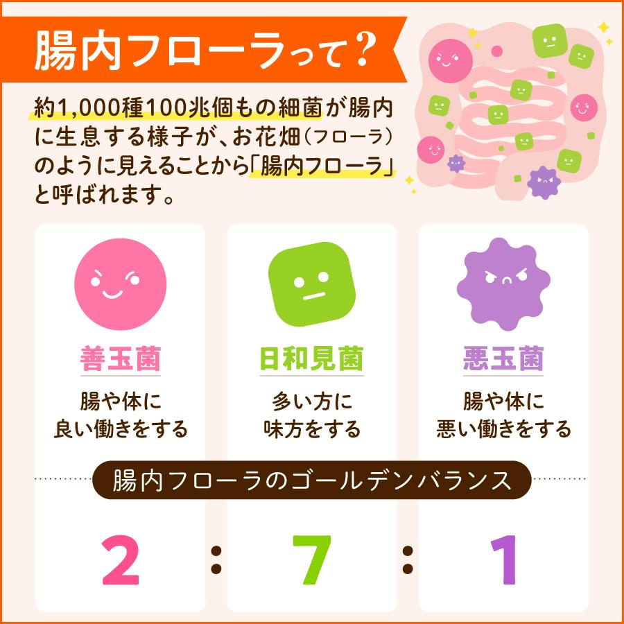 ノビルン 機能性表示食品 fine のびるん nobirun サプリ 便秘 便通