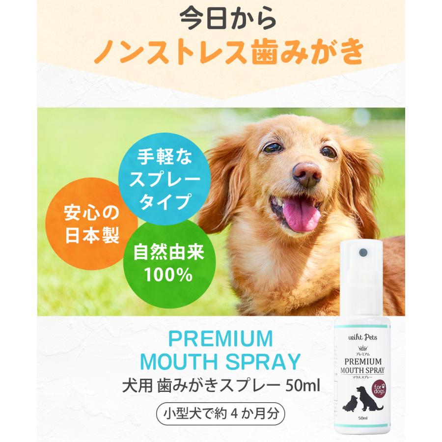 歯みがき スプレー 犬 ペット 口腔 デンタルケア 歯磨き 国産 50ml 高光製薬yahoo 店 通販 Yahoo ショッピング