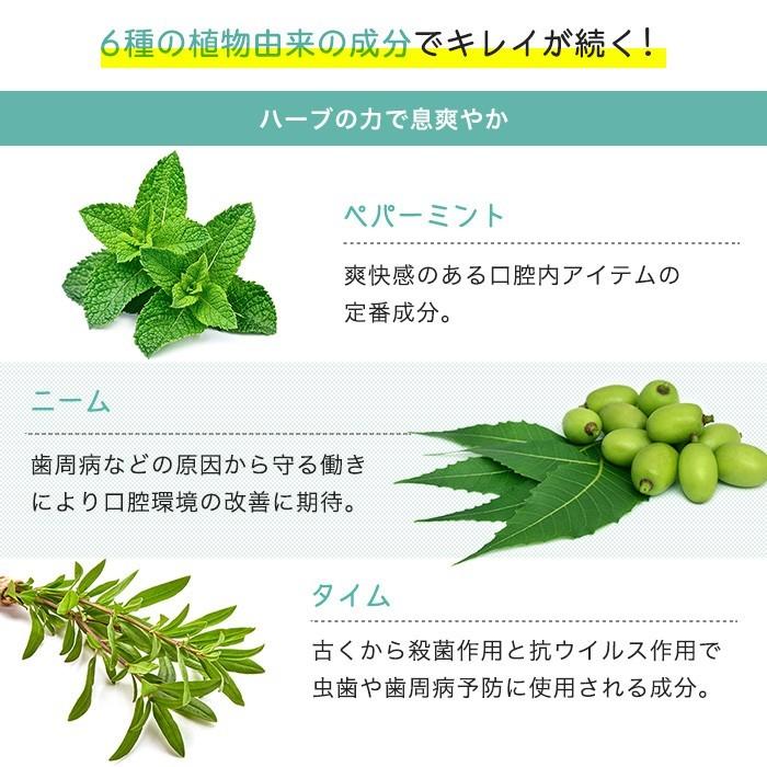 歯みがき スプレー 犬 猫 ペット 口腔 デンタルケア 歯磨き 国産 50ml 約4か月分 高光製薬 通販 Yahoo ショッピング