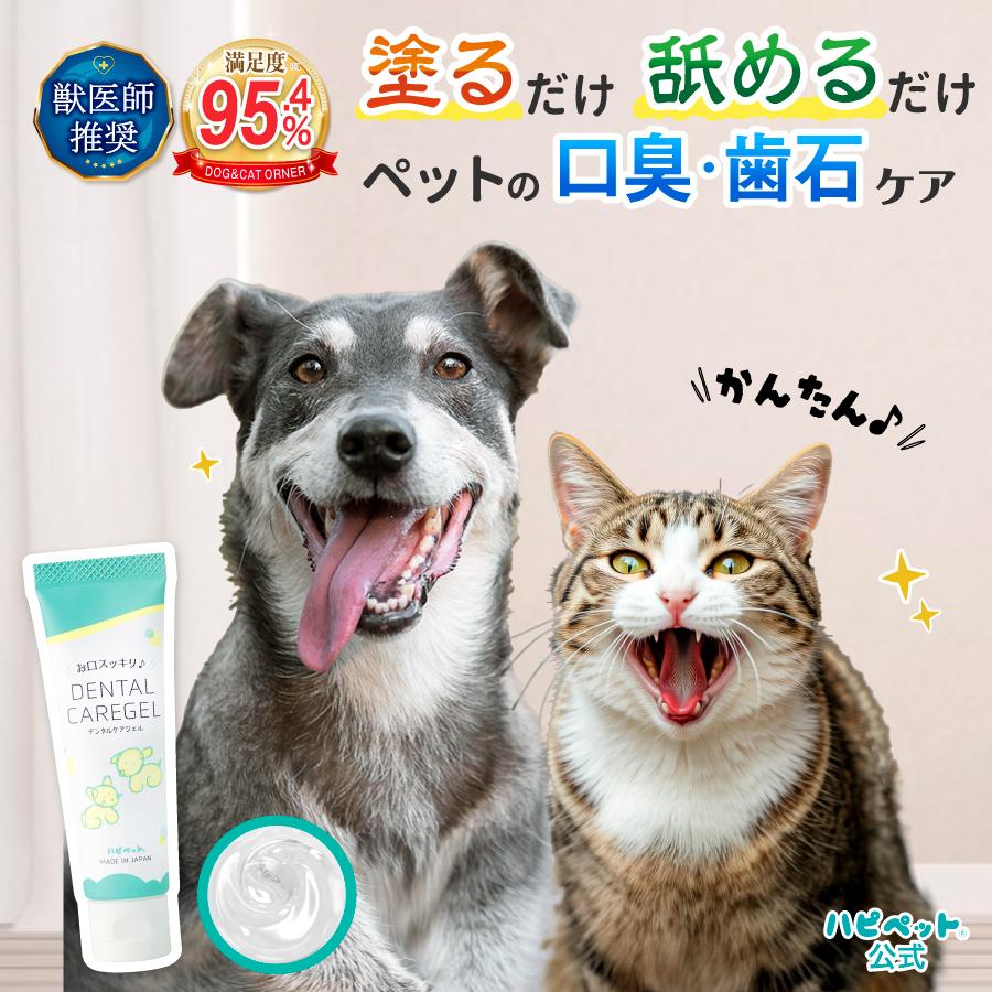 LINE登録で300円OFFクーポン】ハピペット デンタルケア ジェル 犬 猫