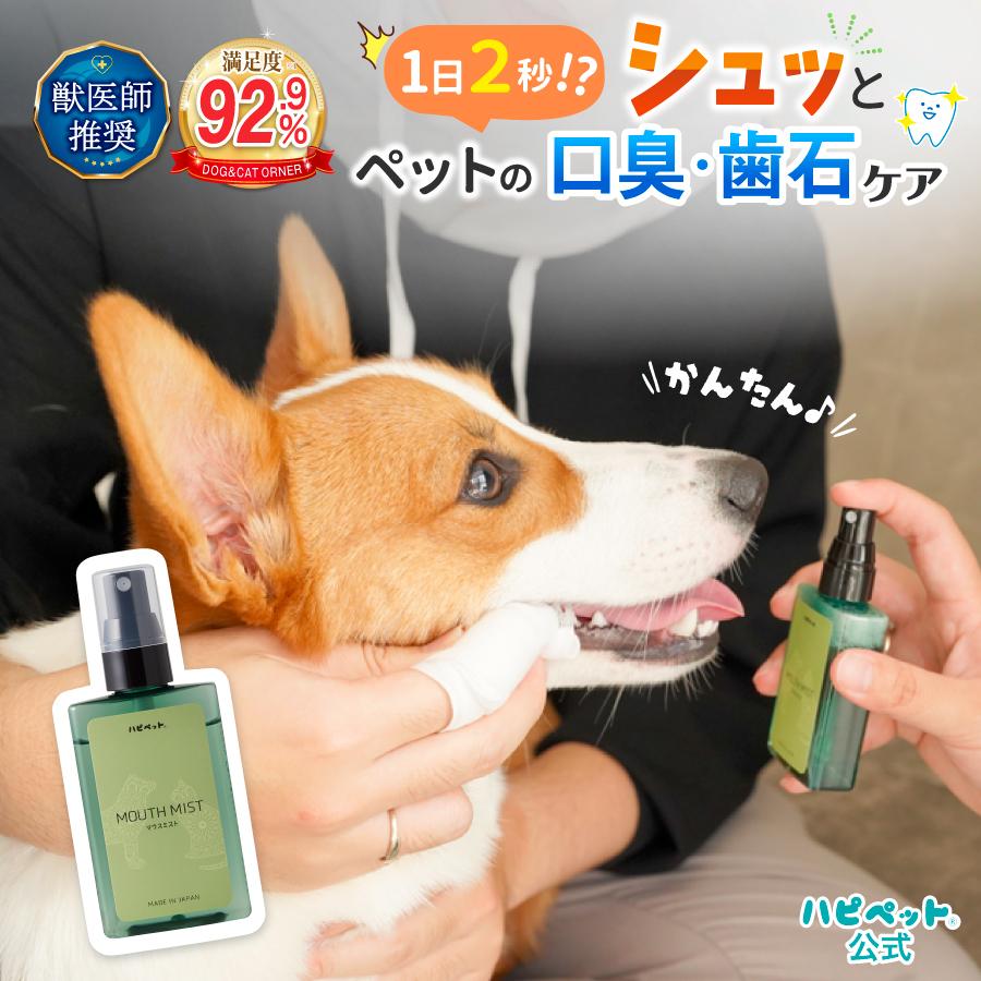 訳あり 期限間近】ハピペット マウスミスト 犬 猫 歯磨き デンタルケア