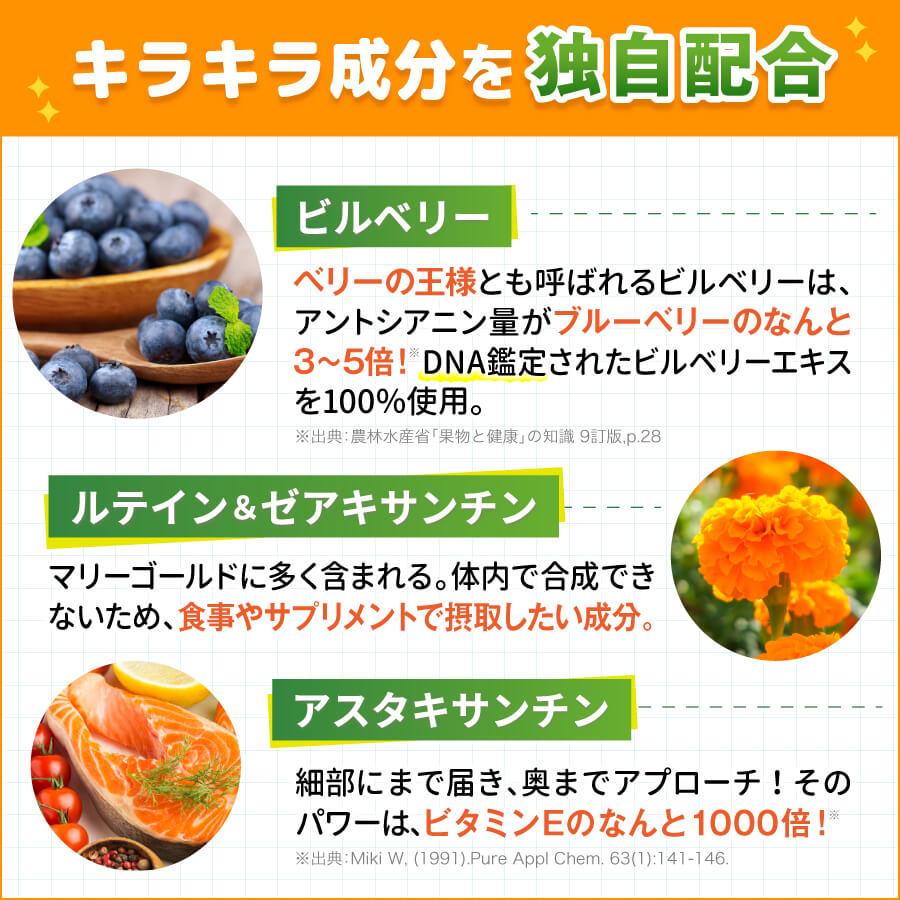 ノビルン 【LINE登録で300円OFFクーポン】ノビルン スタート セット 新