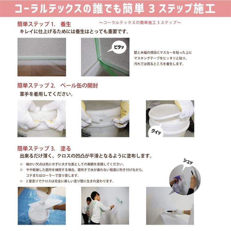 選べる26色 4kg すぐ塗れる 西洋漆喰 Coral Tex コーラルテックス : 高 