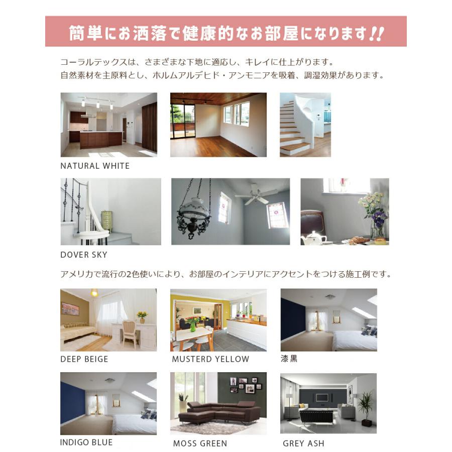 選べる26色 4kg すぐ塗れる 西洋漆喰 Coral Tex コーラルテックス : 高 