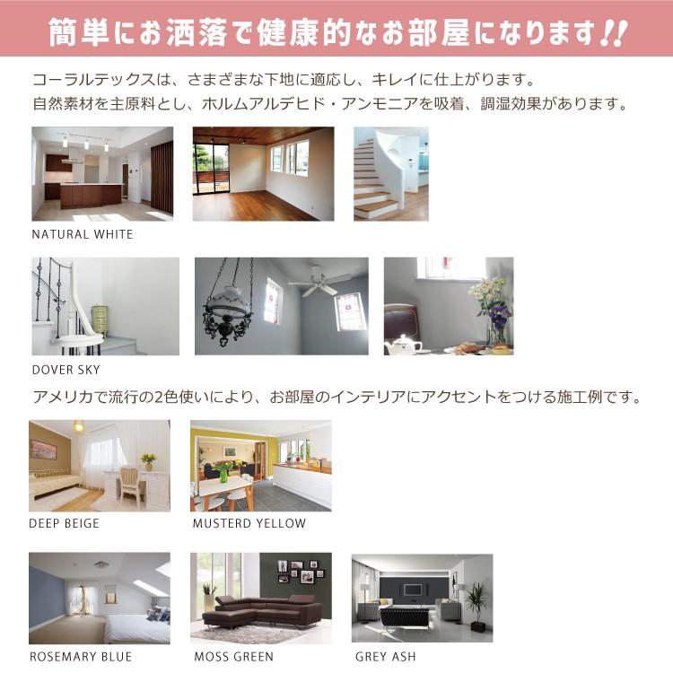 トライアルコテセット 選べる26色と左官道具 8点セット : 高本