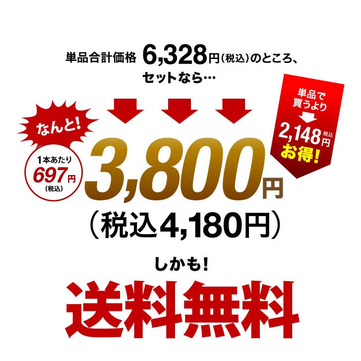 送料無料 第160弾 1本あたり697円 厳選＆お手頃 6本 赤ワイン セット 販売実績が物語る！味わいに妥協なし！初心者にもオススメ！(追加6本同梱可)｜takamura｜02