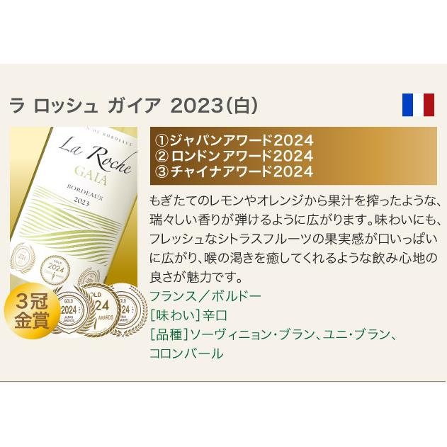 ボルドー金賞など 各国　白ワインセレクション 10本セット　750ml　ｖ2 ボルドー金賞など 各国 白ワインセレクション 10本セット 750ml v2