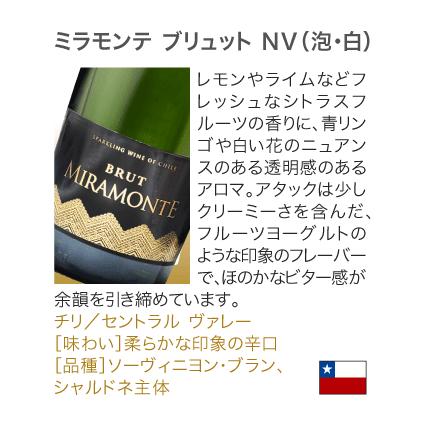 送料無料 第84弾 ☆グラス付☆ お値打ち 10本 辛口 スパークリング