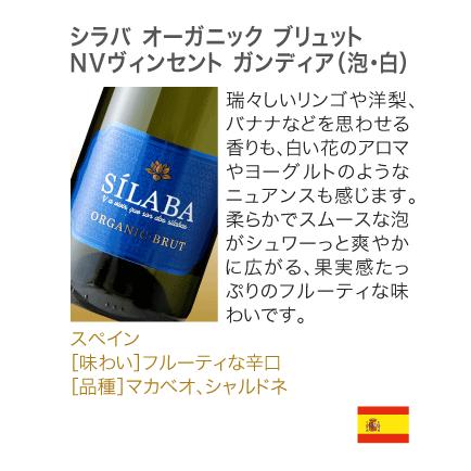 送料無料 第80弾 1本あたり890円 お値打ち 10本 辛口 スパークリング  