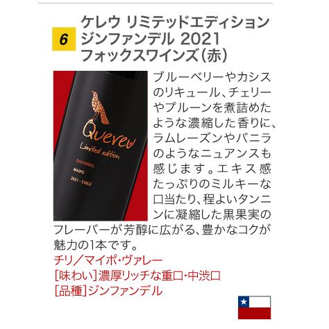 送料無料 第30弾 1本あたり583円 世界各国より厳選 12本 赤ワイン セット これぞ！という旨安ワインが大集合！ (同梱不可) 飲み比べ デイリーワイン｜takamura｜08