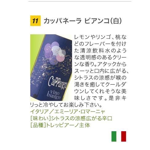 送料無料 第24弾 1本あたり583円 世界各国より厳選 12本 白ワイン セット これぞ！という旨安ワインが大集合！ (同梱不可) 飲み比べ デイリーワイン｜takamura｜13