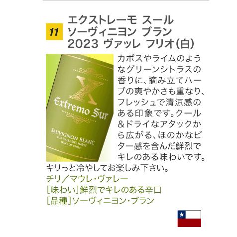 送料無料 第26弾 1本あたり583円 世界各国より厳選 12本 白ワイン セット これぞ！という旨安ワインが大集合！ (同梱不可) 飲み比べ デイリーワイン｜takamura｜13