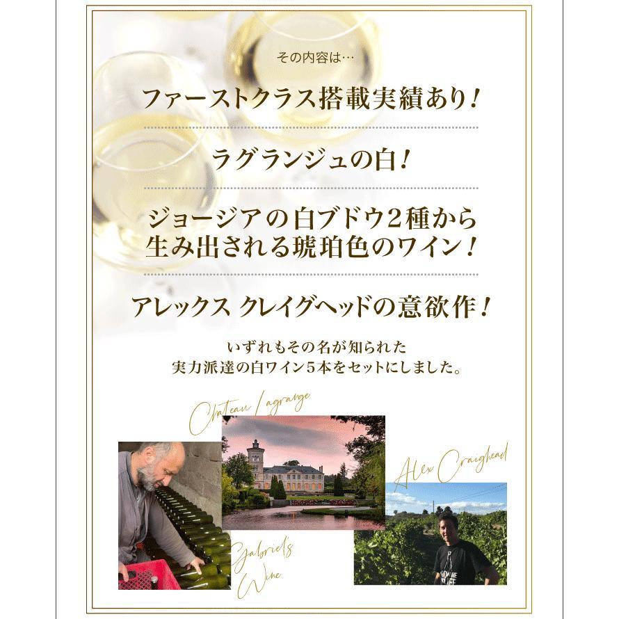 送料無料 第17弾 18003円→11200円！実力派が勢揃い！！厳選上質白ワイン5本セット（追加7本同梱可) |  | 02