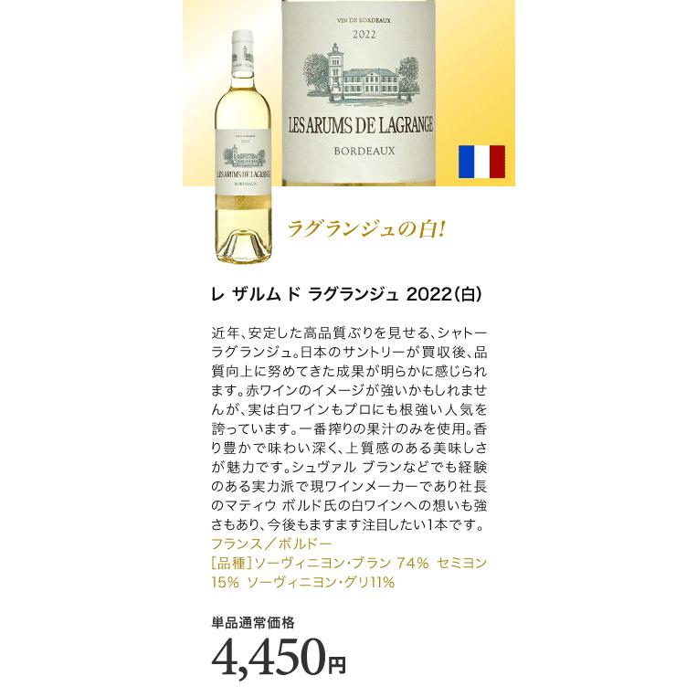 送料無料 第17弾 18003円→11200円！実力派が勢揃い！！厳選上質白ワイン5本セット（追加7本同梱可) |  | 04