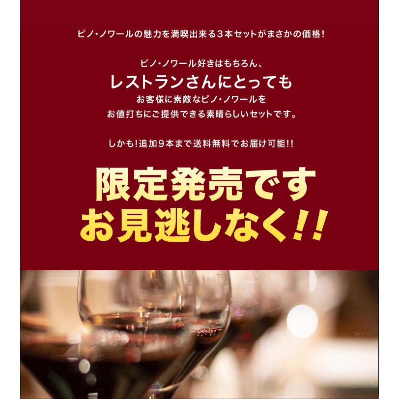 送料無料 第7弾 18,160円→11,000円！抗えないその魅力！ 実力派のジュヴレ シャンベルタンも入ったピノ・ノワール3本セット｜takamura｜05