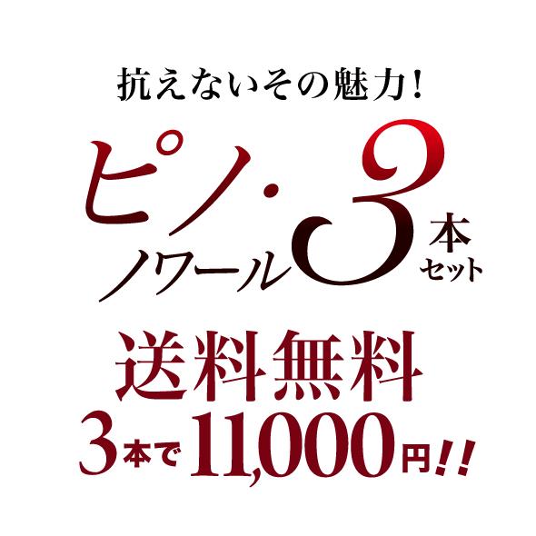 送料無料 第7弾 18,160円→11,000円！抗えないその魅力！ 実力派のジュヴレ シャンベルタンも入ったピノ・ノワール3本セット｜takamura｜09