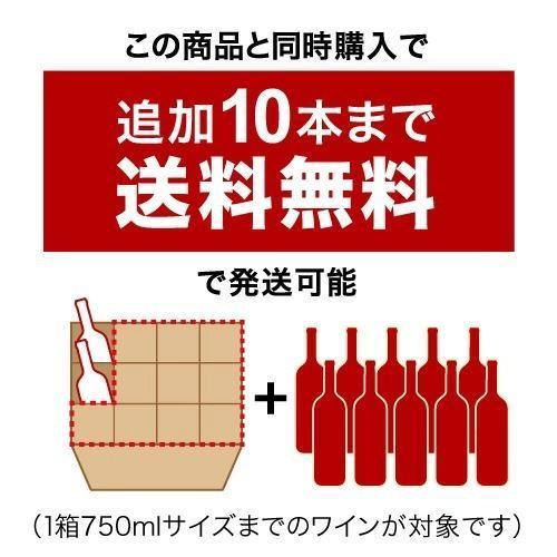 送料無料 世界的人気ブルゴーニュを満喫！老舗＆実力派を厳選