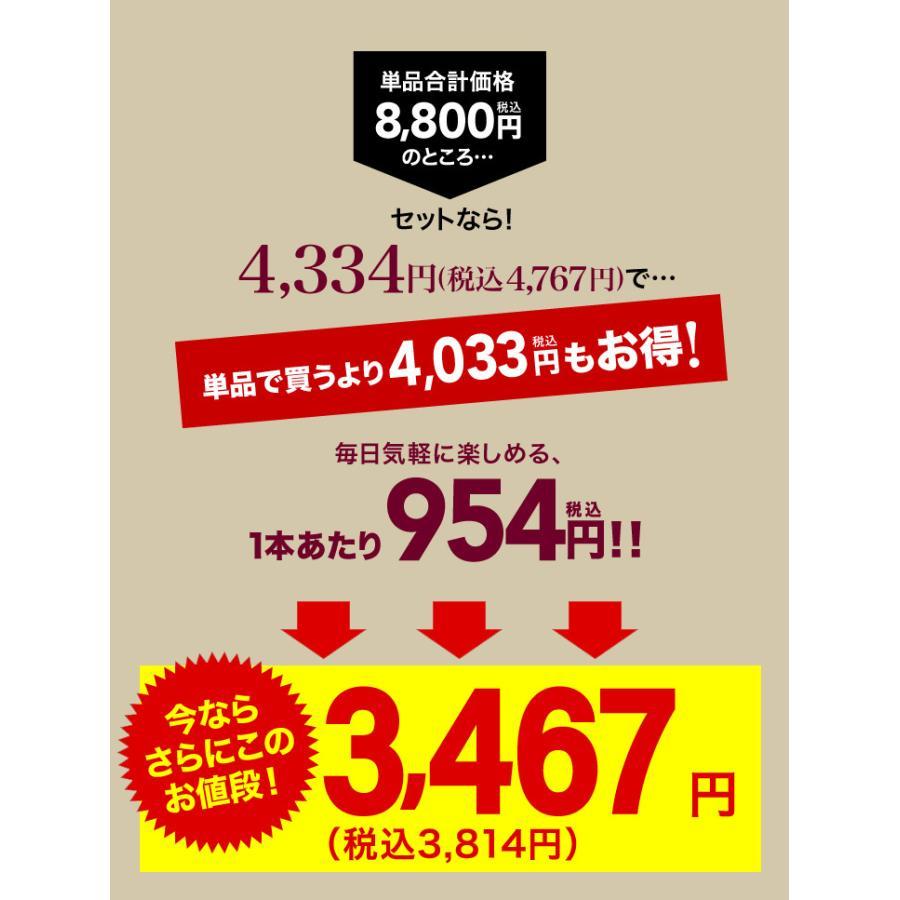 【500円オフ！条件付】20%OFF 送料無料 第14弾 フランス直輸入の高コスパ！ ボルドー 5本 赤ワイン セット (追加7本同梱可) 特別企画｜takamura｜02