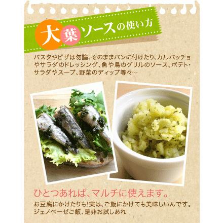 ジェノベーゼ風大葉ソース瓶入り 100ｇ 賞味期限 21年12月5日 1 3個迄 ワイン 750ml 11本と同梱可 タカムラ ワイン ハウス 通販 Yahoo ショッピング