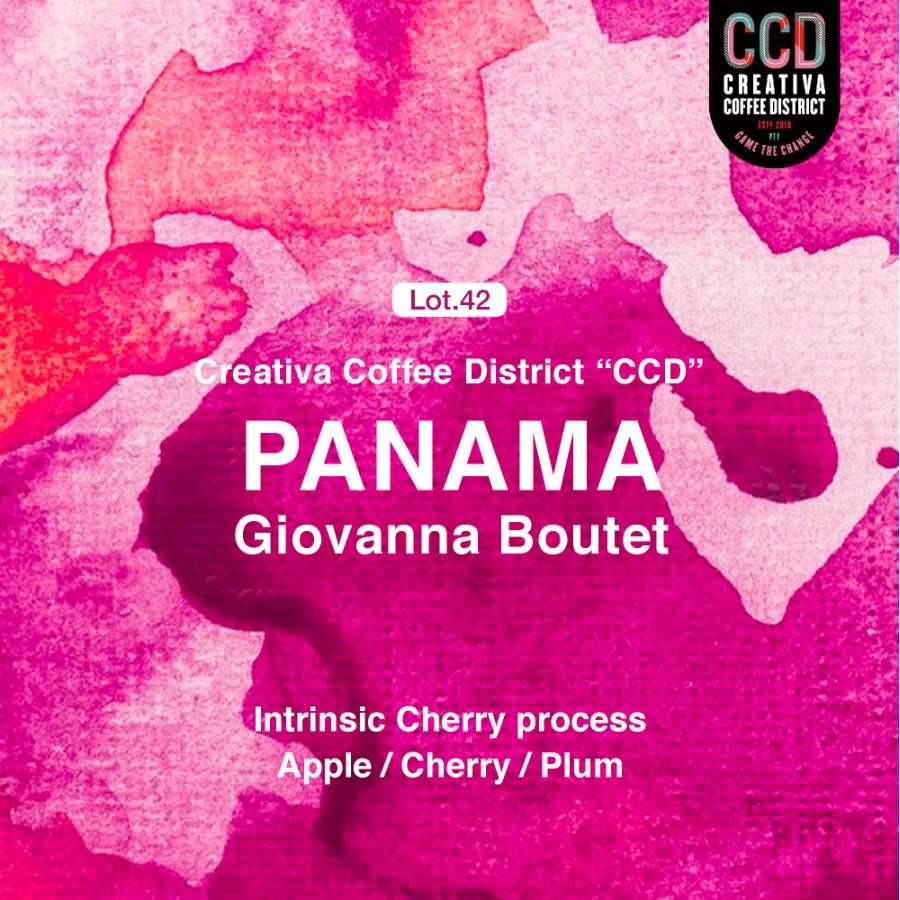 ●送料無料 1000g パナマ ゲイシャ オーロラ Panama Geisha Aurora(スペシャルティ・コーヒー)(Specialty Coffee)[C]