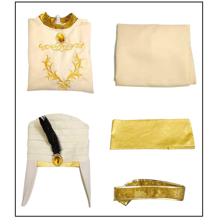 アラジンと魔法のランプ 千夜一夜物語 アリ 王子 仮装 コスプレ