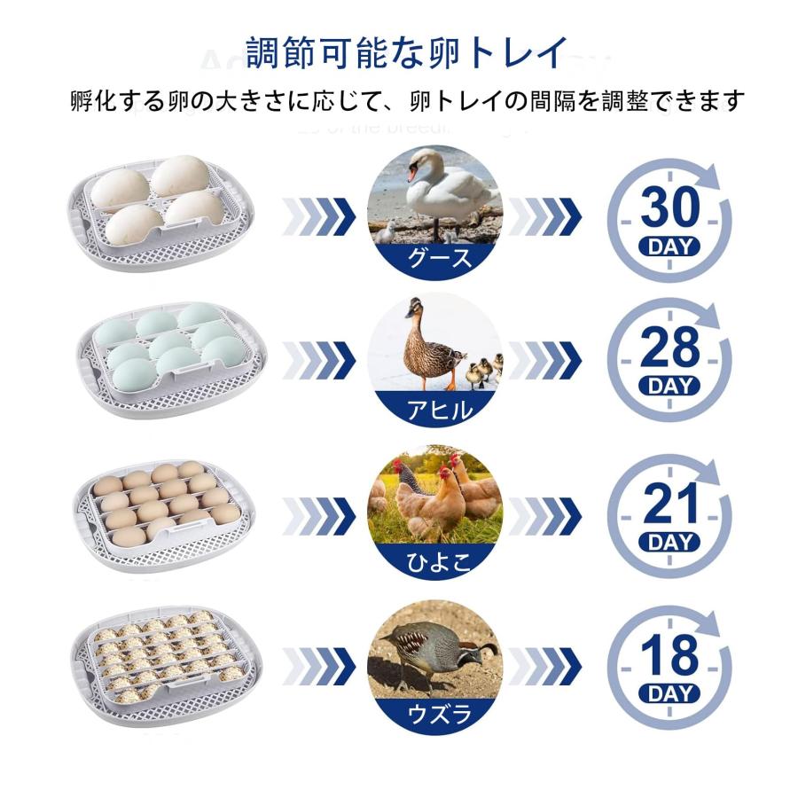 自動孵卵器 インキュベーター 鳥類専用ふ卵器 16個入卵可能 自動転卵式