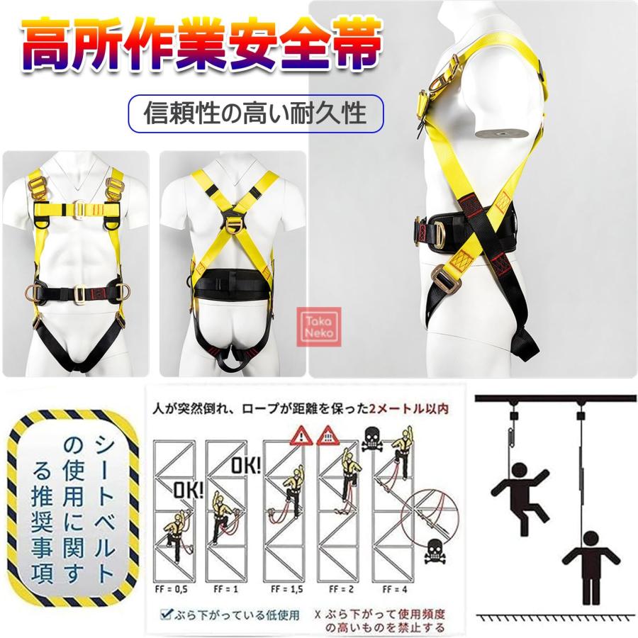 フルハーネス安全帯 新規格 セット 墜落制止用器具 ハーネス安全帯 新