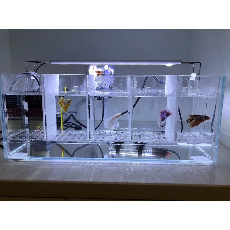 ベタマンション 自作 DIY ベタ 水槽 ベタマンション 作ったよ！ - YouTube