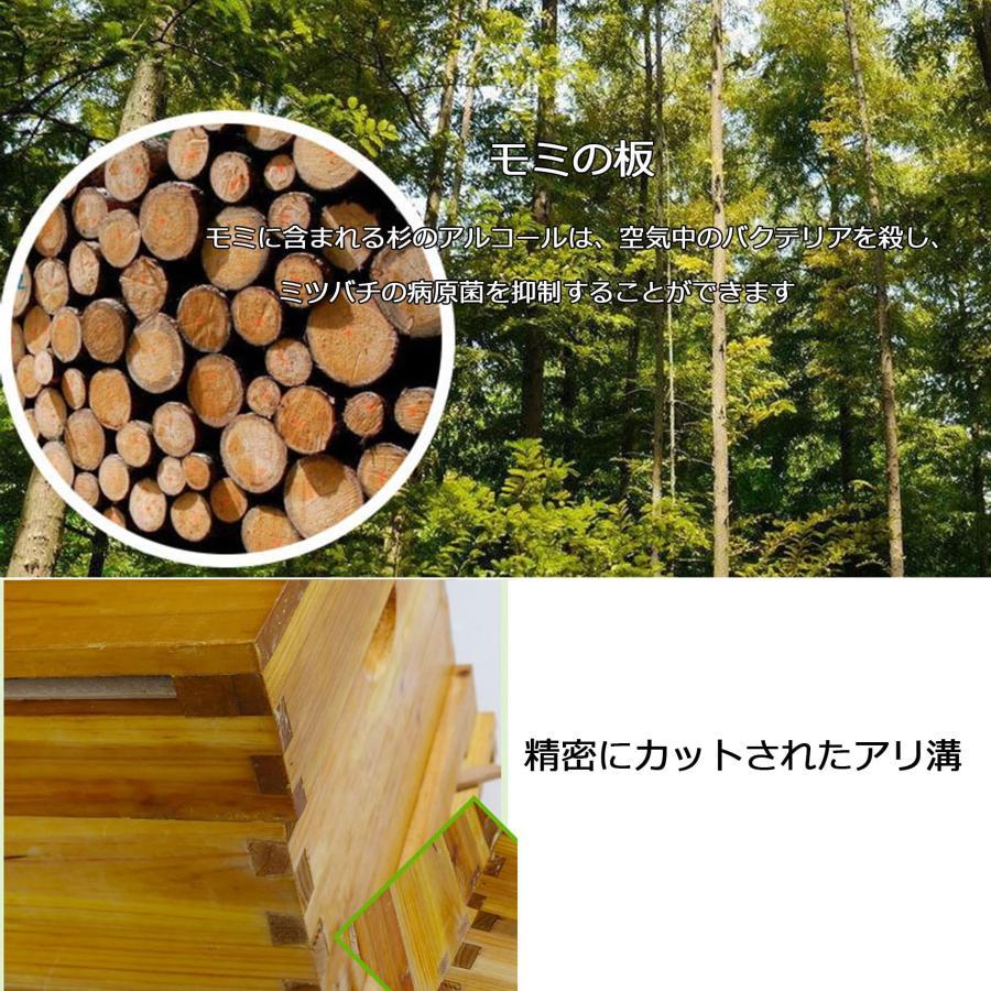 ミツバチ 巣箱 養蜂箱 蜜蜂巣箱 杉材 養蜂箱栽培 蜂蜜蜂の巣箱10