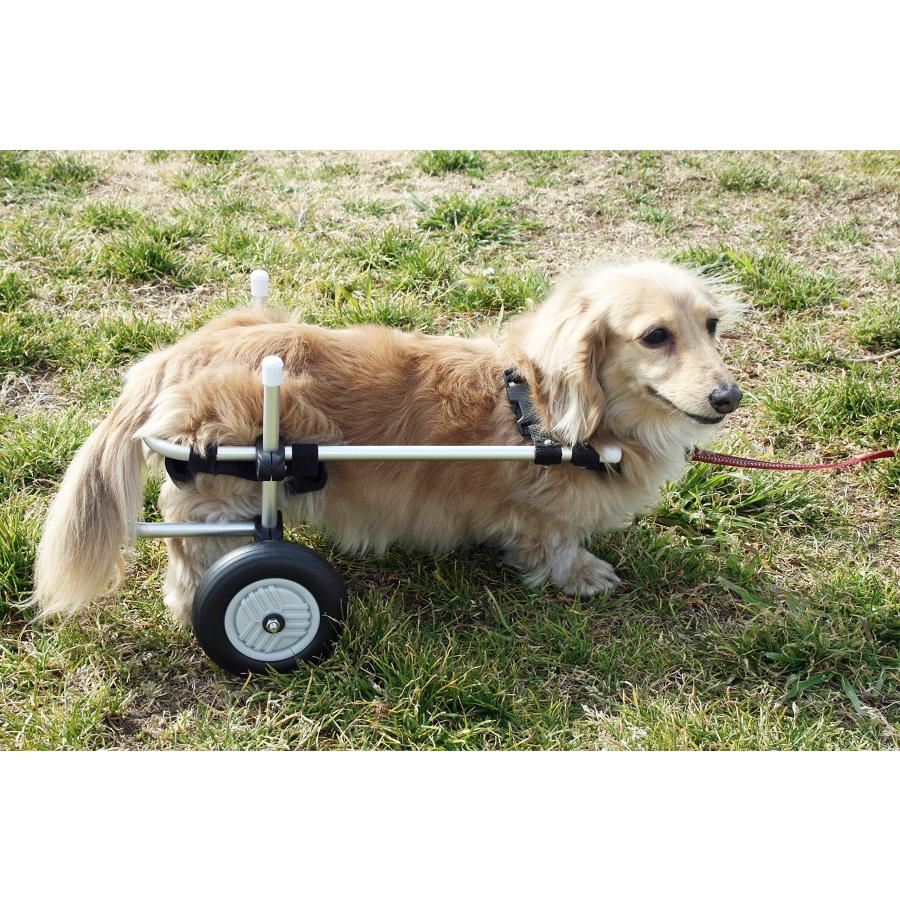 小型犬用2輪歩行器 車いす ダックス チワワ等 Sサイズ : TakaNeko68