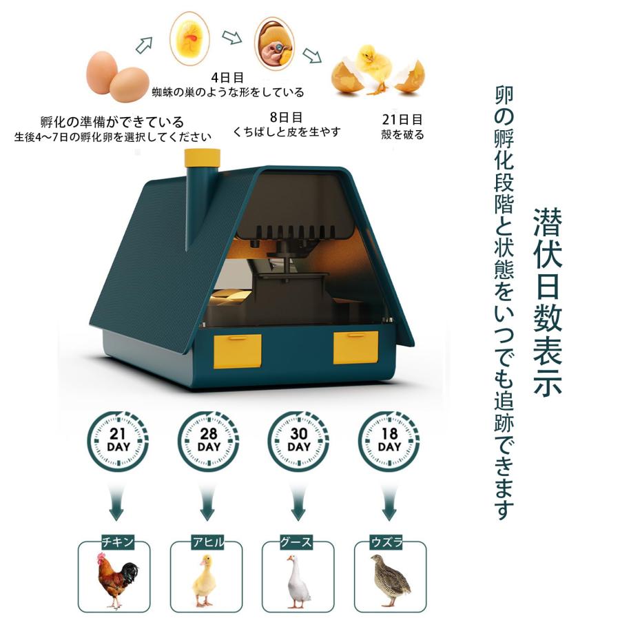 インキュベーター 自動孵卵器 10個入卵 鳥類専用ふ卵器 自動転卵 インキュベーター 自動孵卵器 10個入卵 鳥類専用ふ卵器 自動転卵