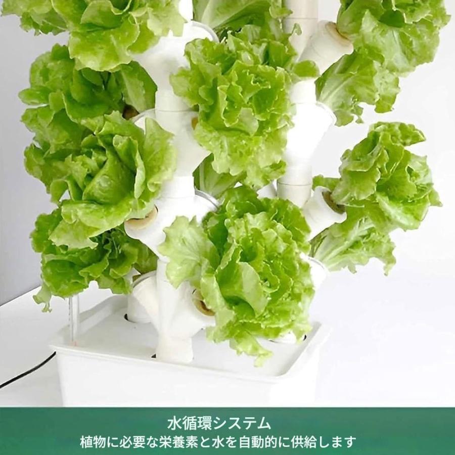 垂直方向水耕主柱、蔬菜草木主柱、塩ビパイプ水耕作りだす一揃いの道具 すいこう作りだす一揃いの道具 水耕作りだす一揃いの道具 盆栽 すいこう作りだす ポット 水耕作りだす ポット 葉物蔬菜 身寄り家庭菜園
