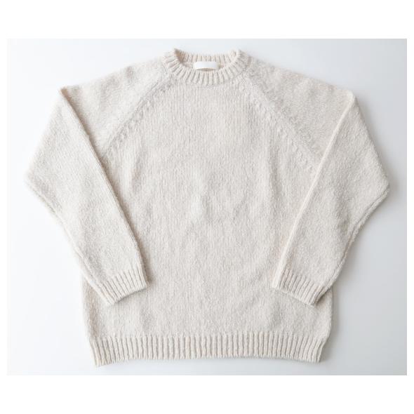 evam eva エヴァムエヴァ ニット メンズ renew-wool raglan pullover 