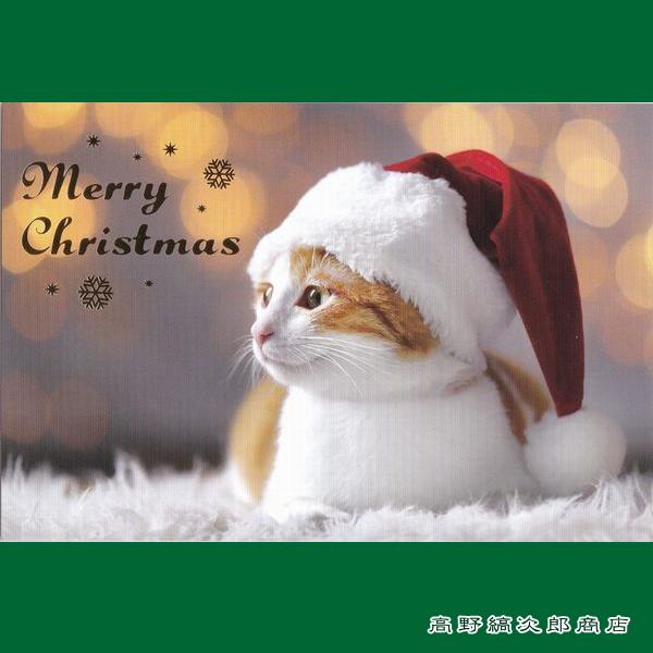 クリスマスネコポストカード１枚  茶トラ帽子をかぶって 猫 はがき【レターパックプラス可40個まで・レターパックライト可20個まで・メール便可10個まで】A｜takano-coffee