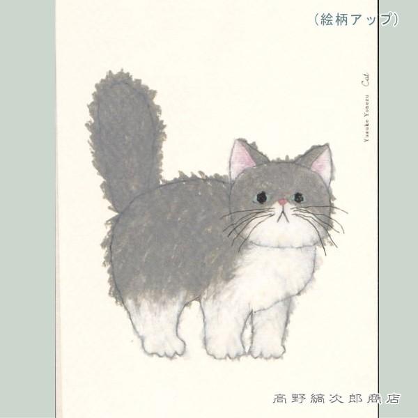 米津祐介ポストカード1枚 ハチワレネコ 猫はがき【レターパックプラス