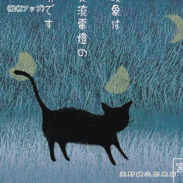 ShinziKathoネコポストカード1枚 序(春と修羅) 宮沢賢治 猫