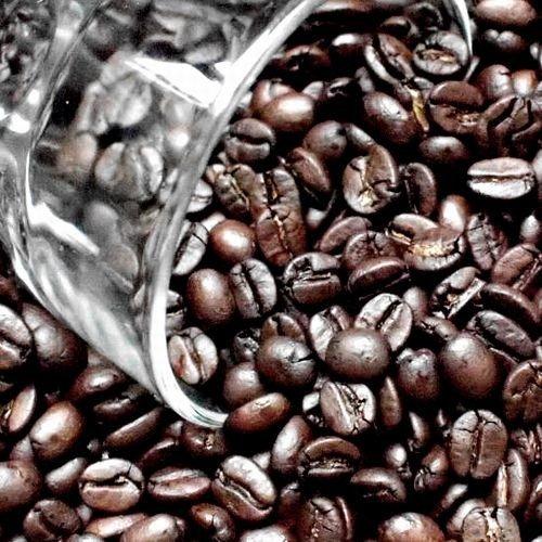 マカウバデシーマ農園 ブラジル コーヒー豆 0g レターパックプラス可 Cbf 高野縞次郎商店 通販 Yahoo ショッピング