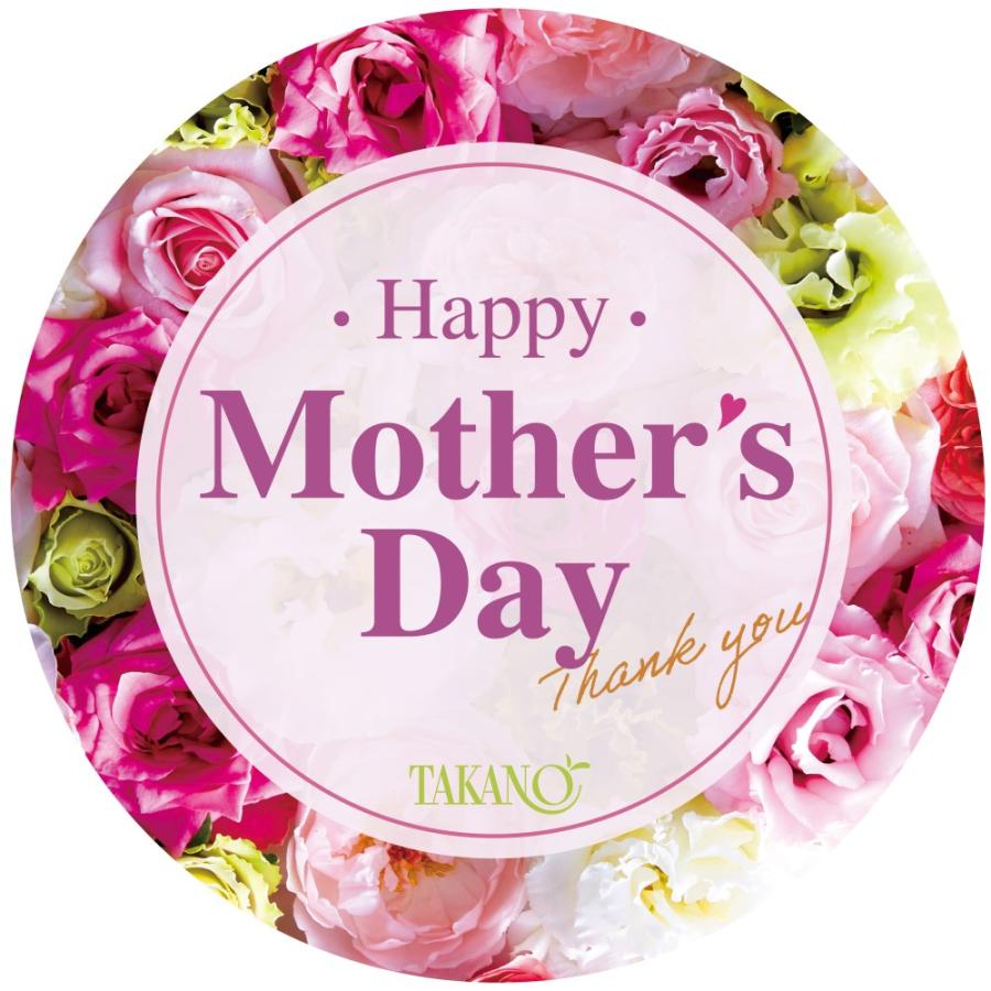 新宿高野 母の日 スイーツギフト #93644