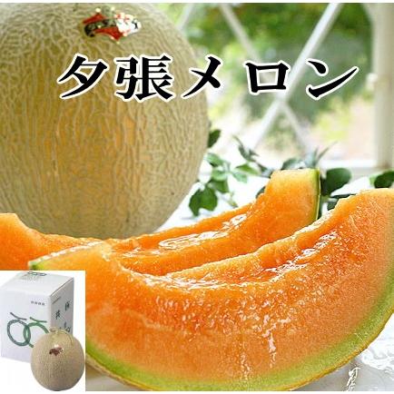 夕張メロン」 優品（約1.3kg）×1玉 ※7月上旬からのお届けとなります