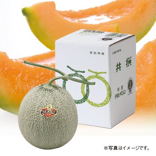 夕張メロン」 優品（約1.3kg）×1玉 ※7月上旬からのお届けとなります