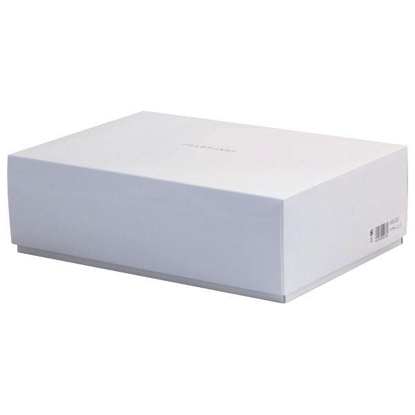 JILL STUART（ジルスチュアート） モーニングセットペア（41635-33357