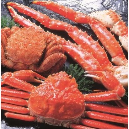 佐藤にか 後編】横田龍儀 × 佐藤信長 バイクトーク｜Ninja ZX-25Rとパニガーレ