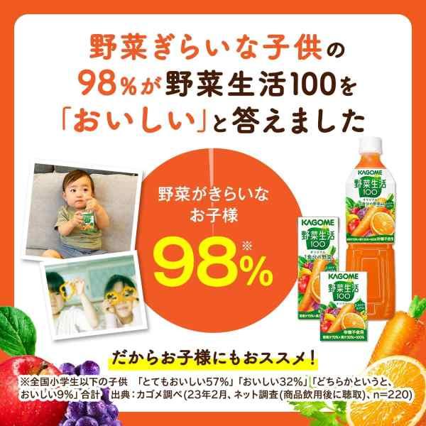 カゴメ 野菜ジュース カゴメ 野菜飲料サマーバラエティギフト（13本