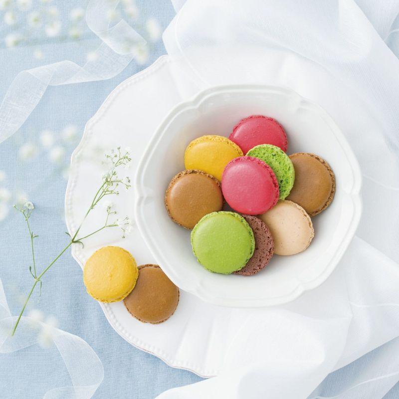 レスールドノエ ジャルダンドゥマカロン 100ml LES SOEURS DE