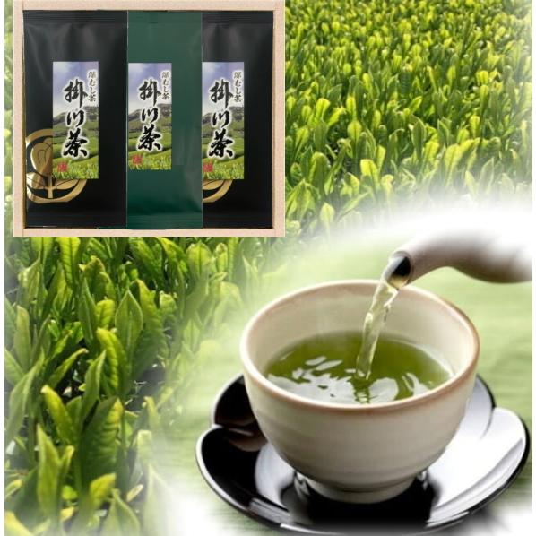 緑茶　神無月×3 深むし茶×3 高級茶 荻野商店 静岡県産 深蒸し茶 掛川茶（緑）80g入り 3袋 : ギフトハウス