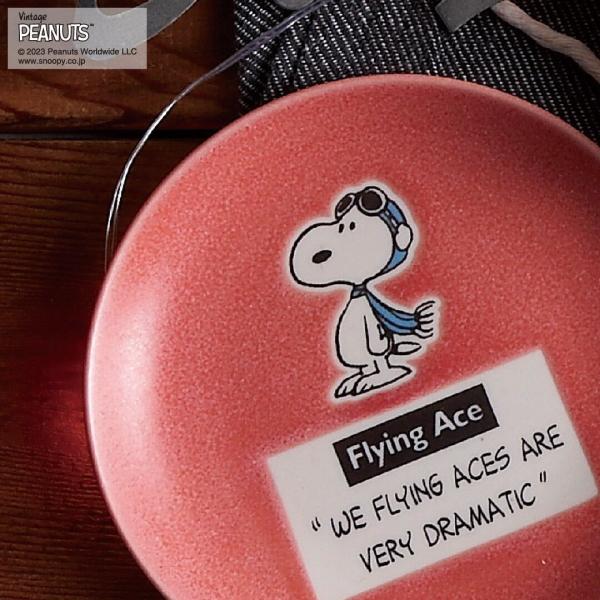 SNOOPY（スヌーピー） ピーナッツ 窯変釉・木箱入プレートセット